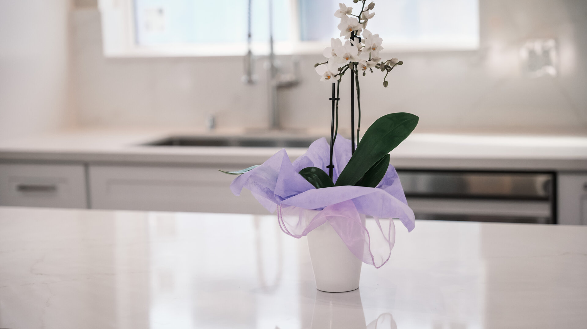 Close view of a white kitchen sink and bright countertop